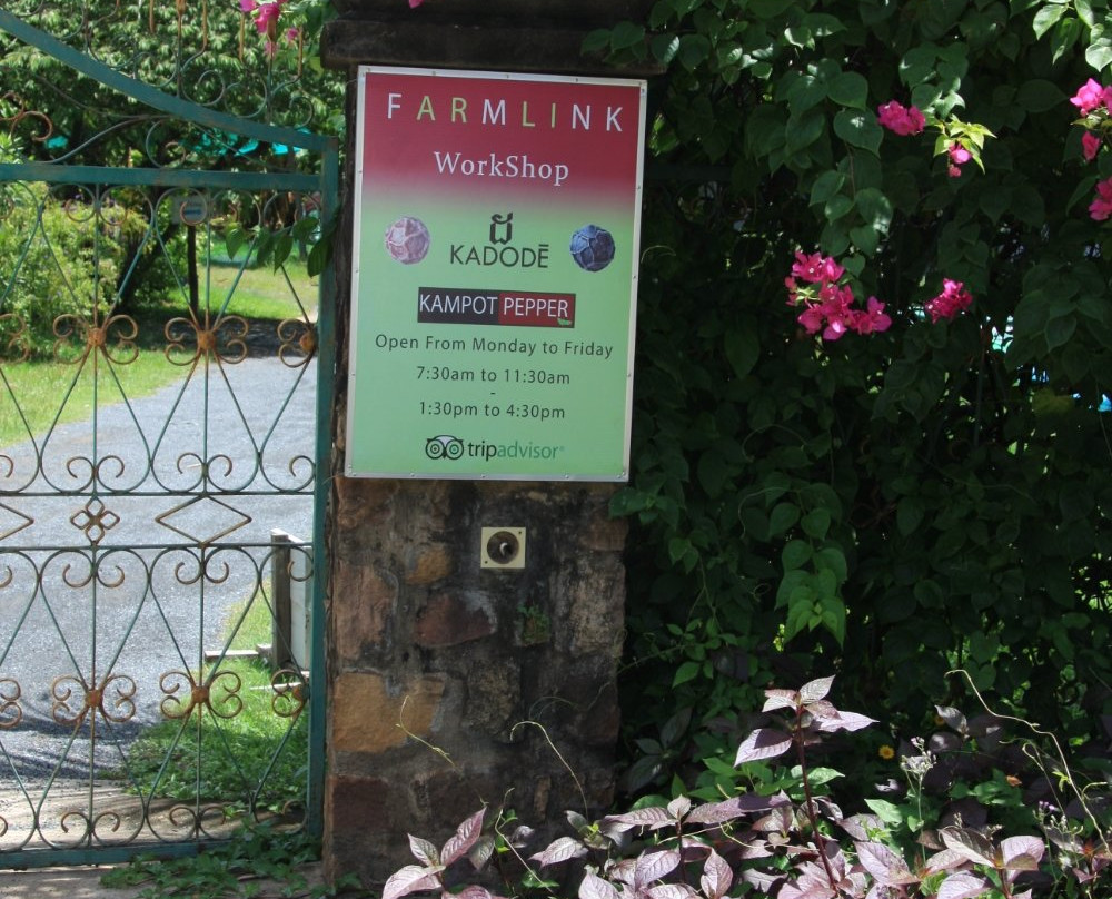 Farm Link-贡布必去景点