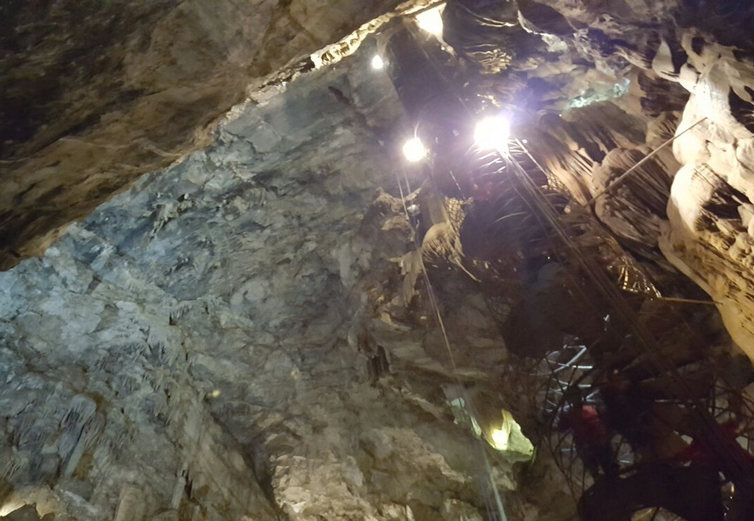 Moaning Caverns Adventure Park景点图片