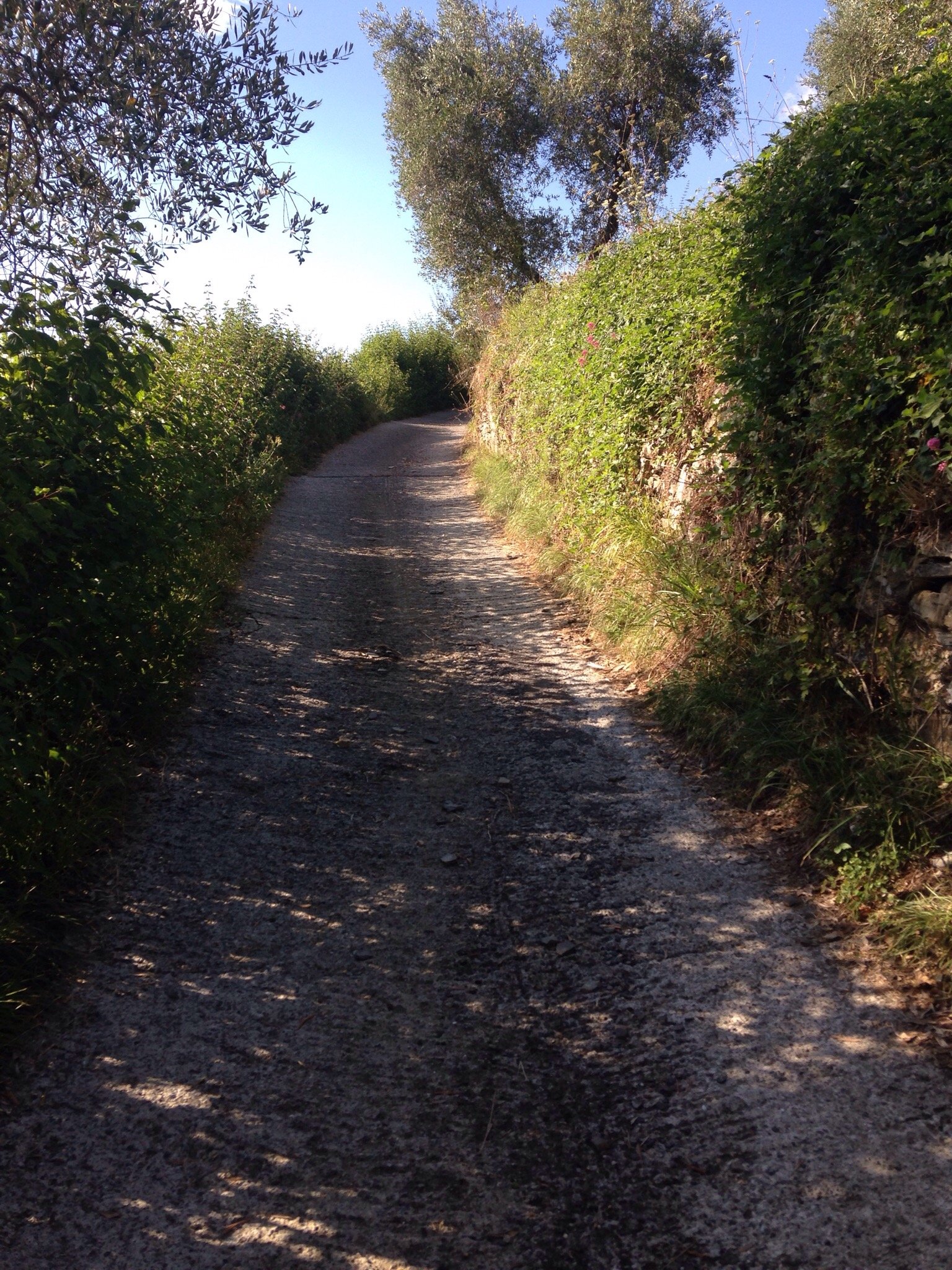 Agriturismo Profumo Di Natura-官方