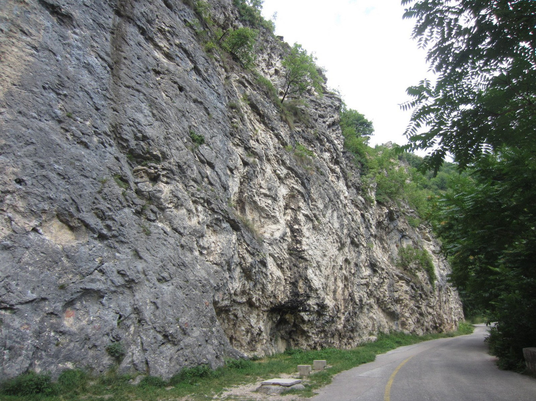 Goat's Bridge景点图片