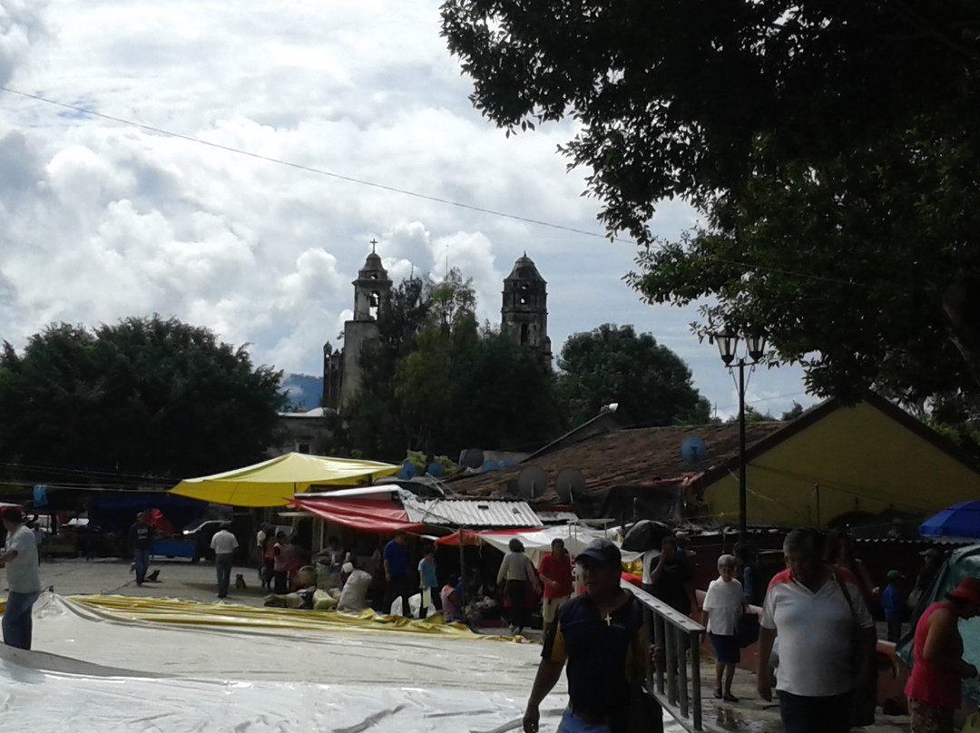 Palacio Municipal景点图片