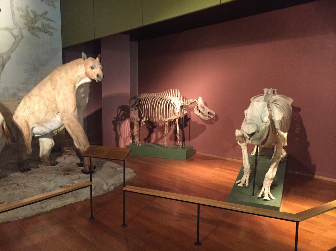 Naturhistorisches Museum Basel