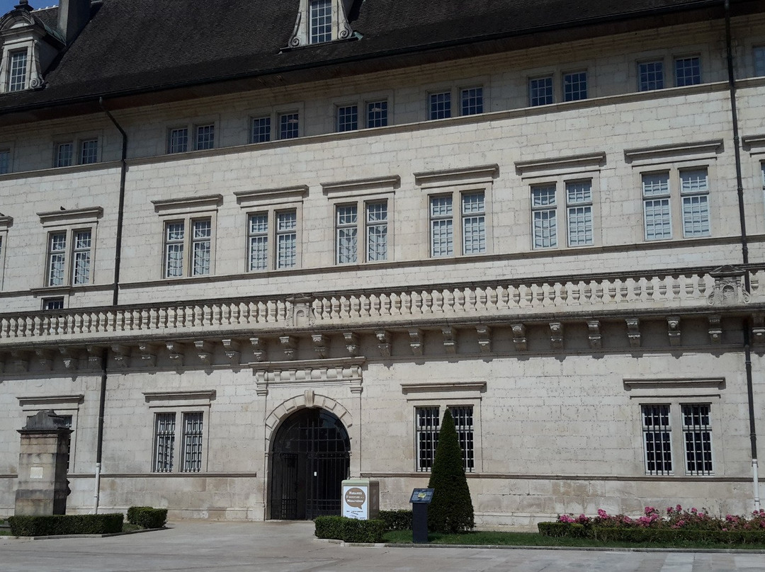 Hôtel-Dieu De Dole景点图片