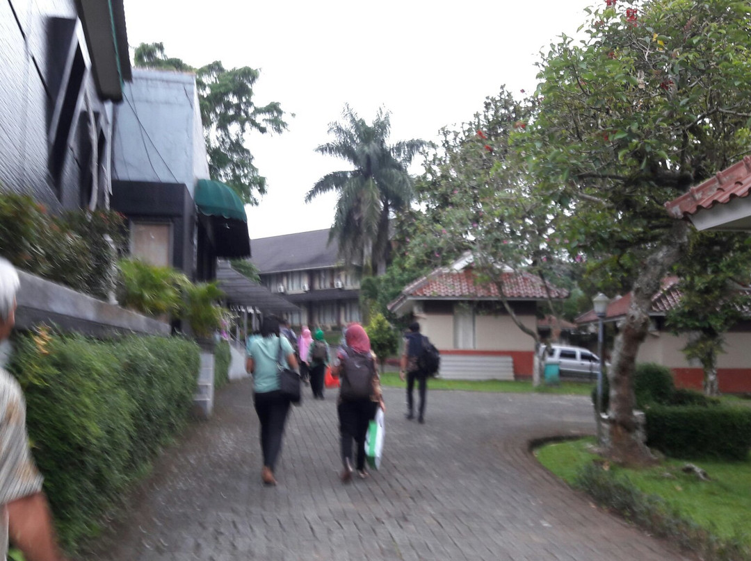 Grand Pesona Hotel & Resort主图