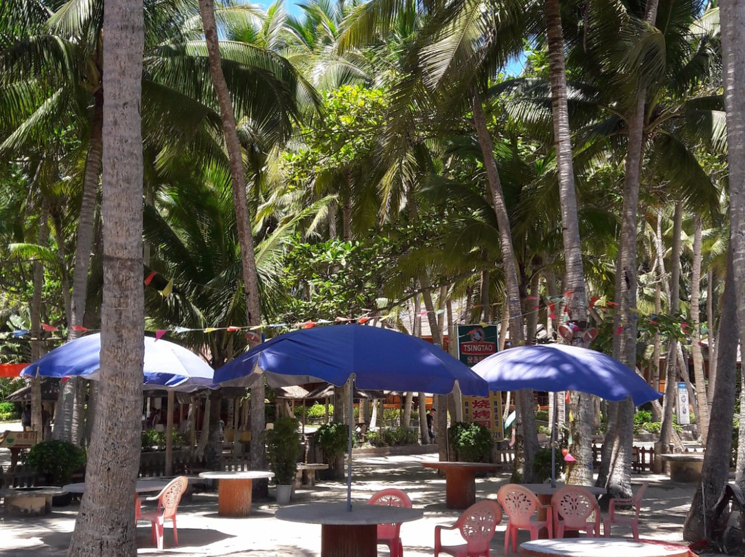 东郊椰子种植园-海口市必去景点