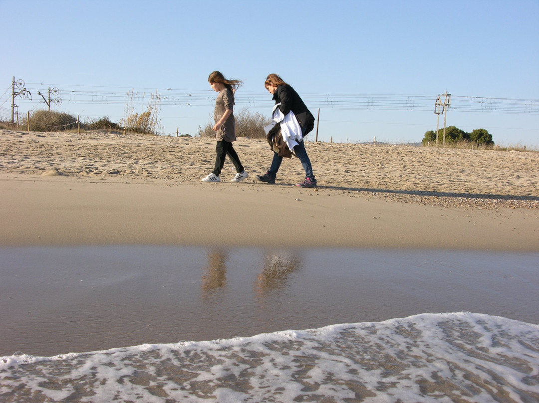 Playa Llarga-比利亚努埃瓦－赫尔特鲁必去景点