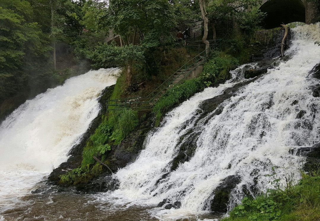 Coo旅游攻略图片
