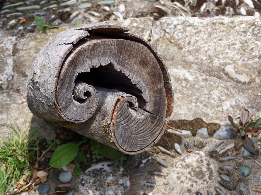 Serpentin Organic Garden-Tsagkarada必去景点