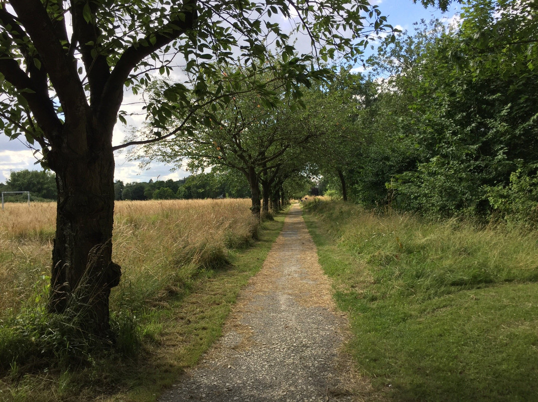 Bürgerpark Osnabrück-奥斯纳布吕克必去景点