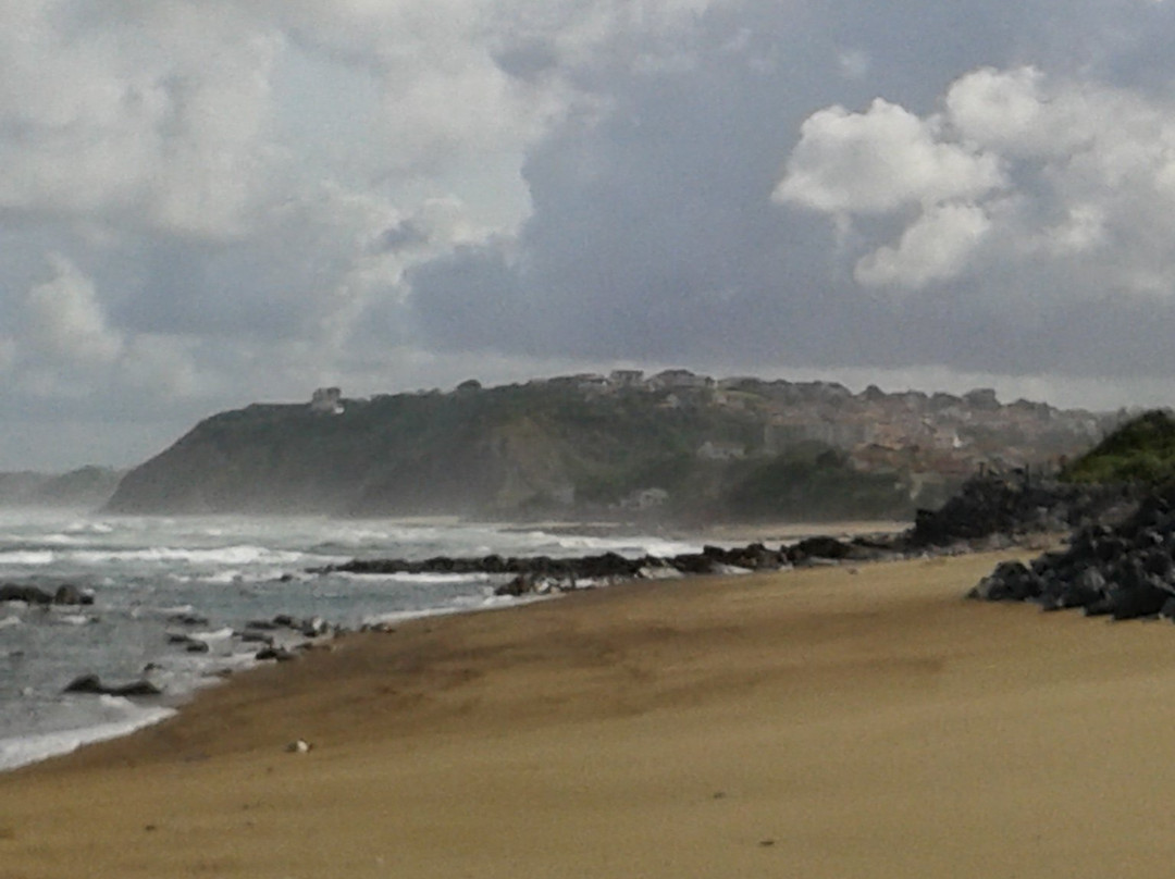 Plage de Cenitz景点图片