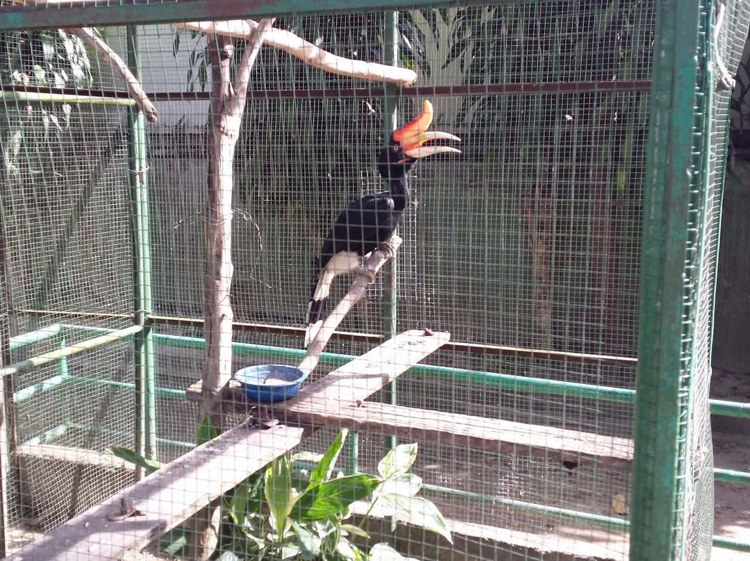 Wildlife Cultural Park Kinantan-武吉丁宜必去景点