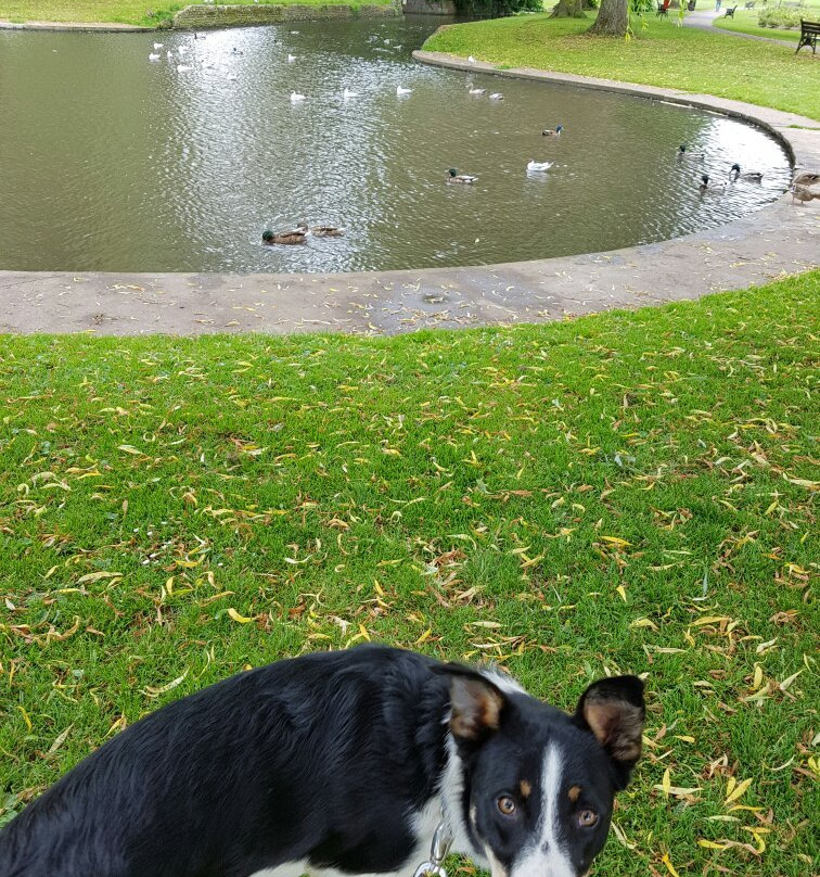Sanders Park-布罗姆斯格罗夫必去景点