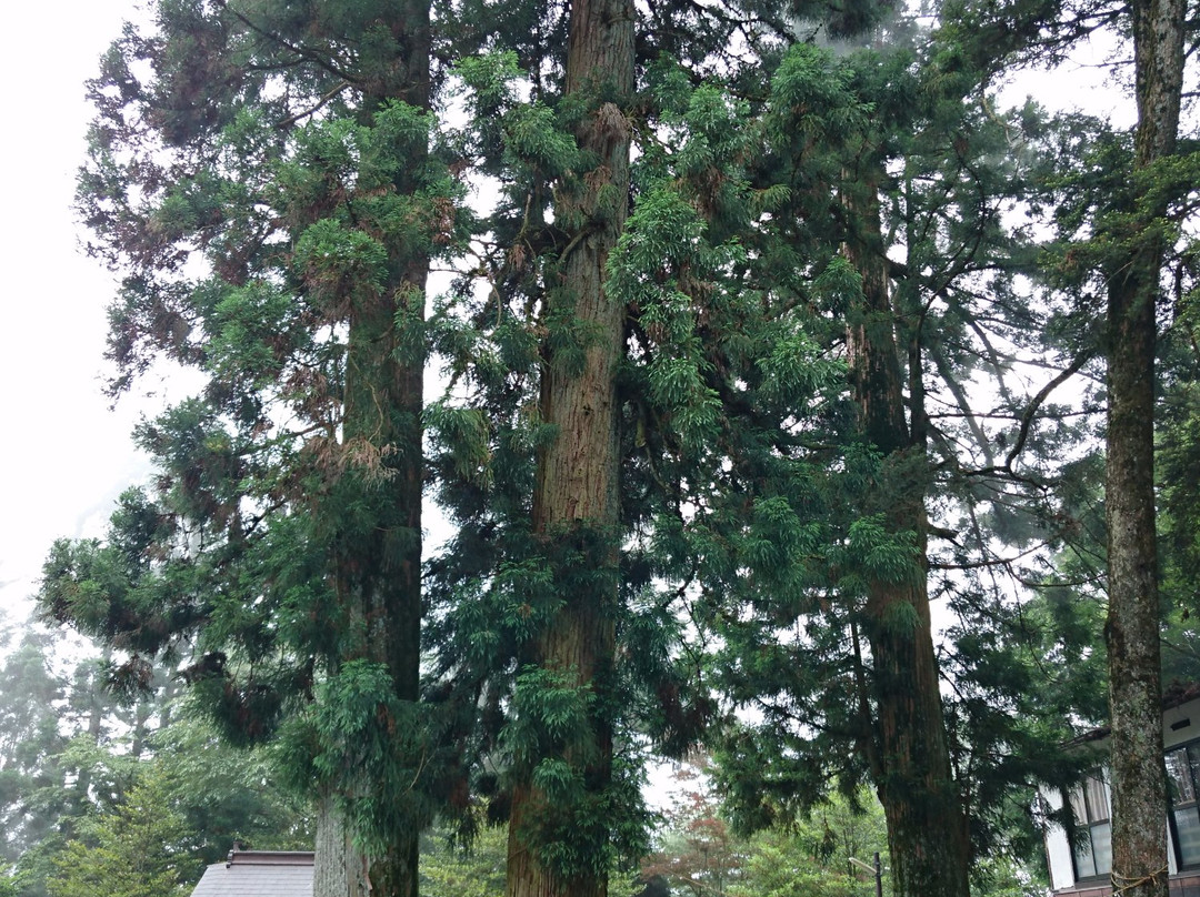 Nishiteru Shrine-美马市必去景点