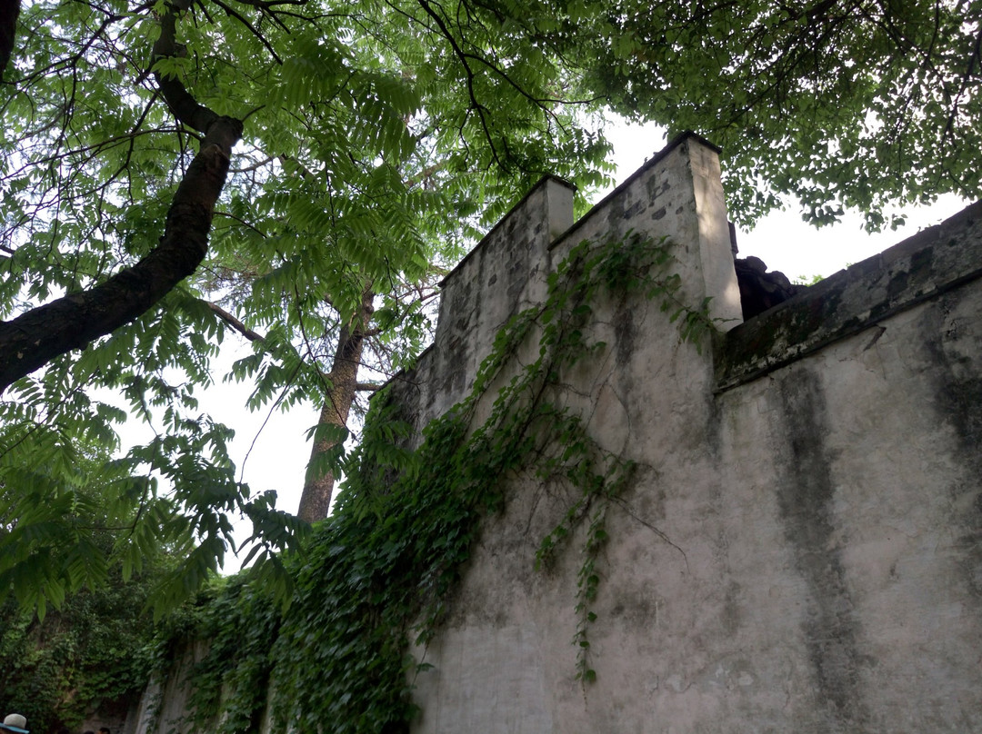 绍兴百草园-绍兴市必去景点