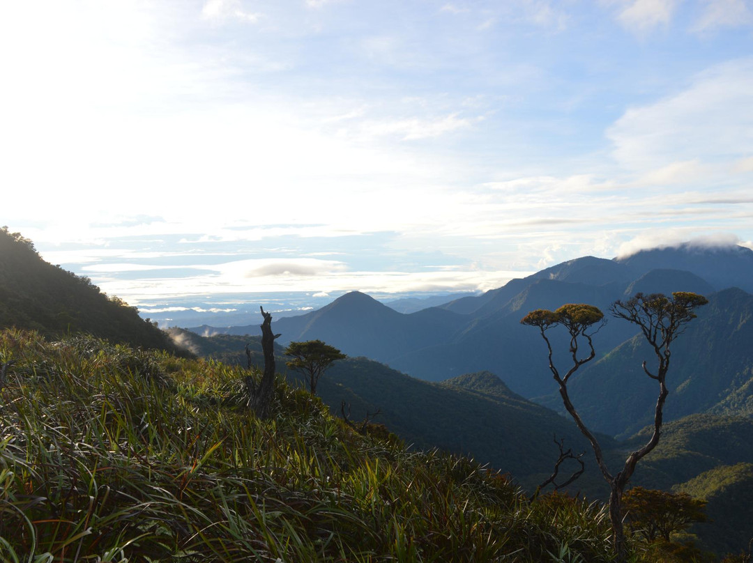 Mt Lumot景点图片