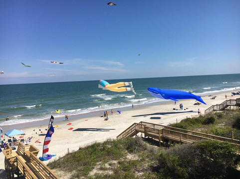 Litchfield Beach旅游攻略图片