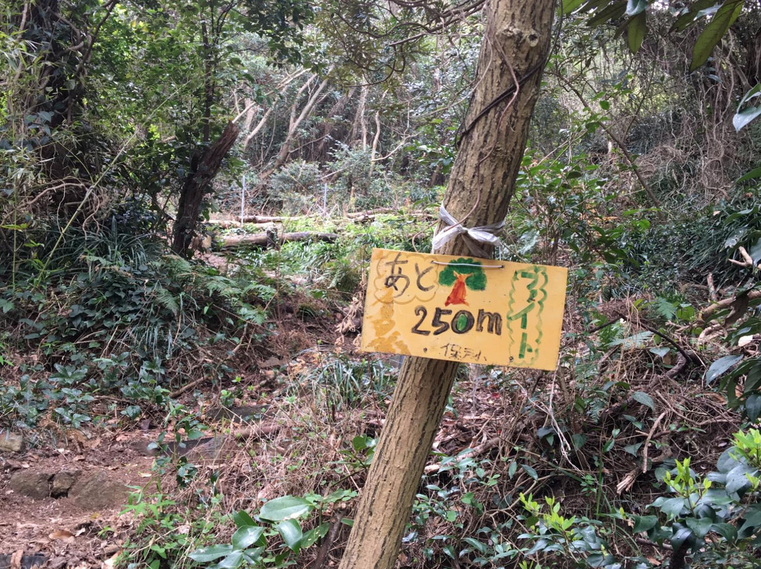 Mount Tomi景点图片