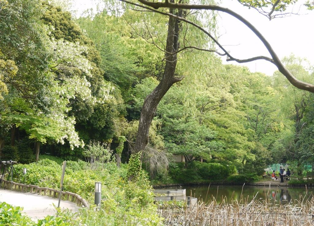 Fujisaki Shinrin Park-习志野市必去景点