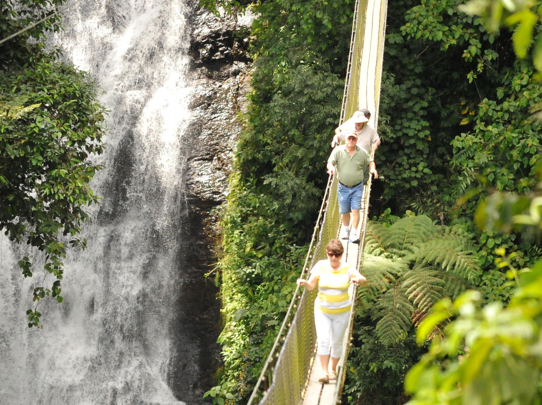 Manuel Antonio Quepos Tours景点图片