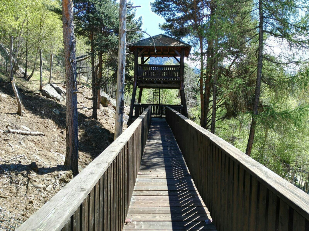 Centro Faunistico del Parco dell'Adamello-Paspardo必去景点