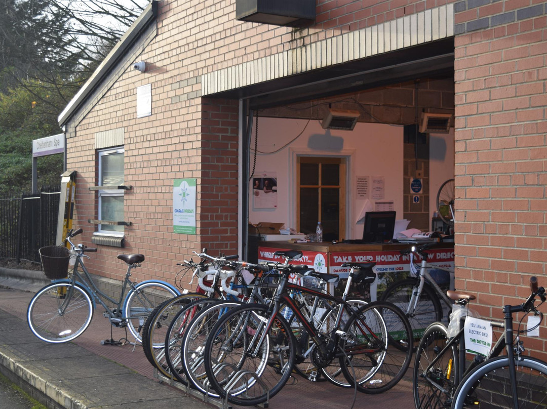 The Bicycle Hub景点图片