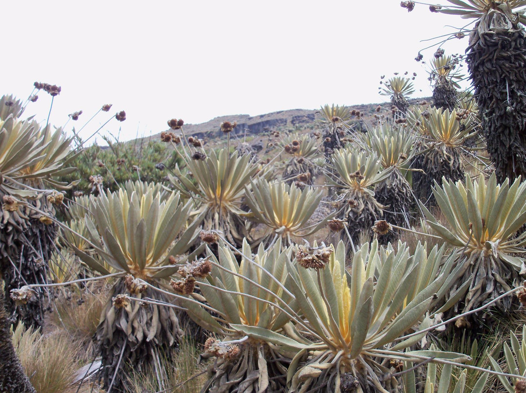 Mongui酒店住宿-Hotel Porton De Oceta