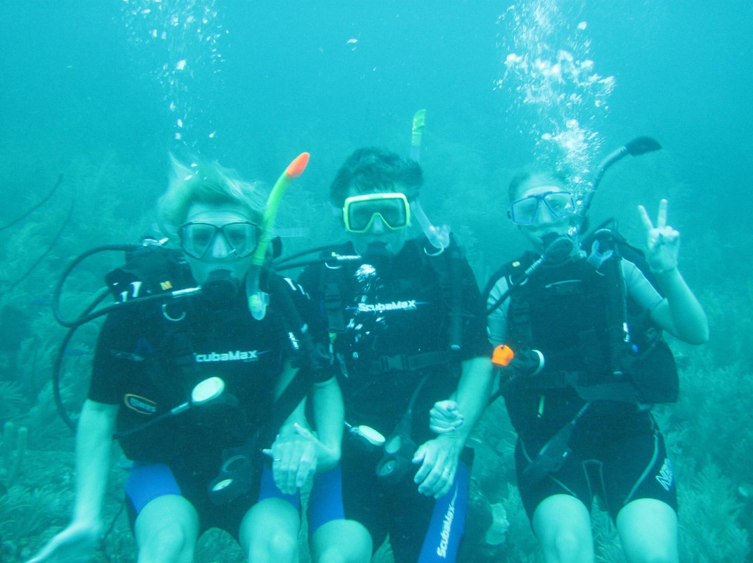 Wild Turtle Scuba Tobago Ltd.-Bon Accord必去景点