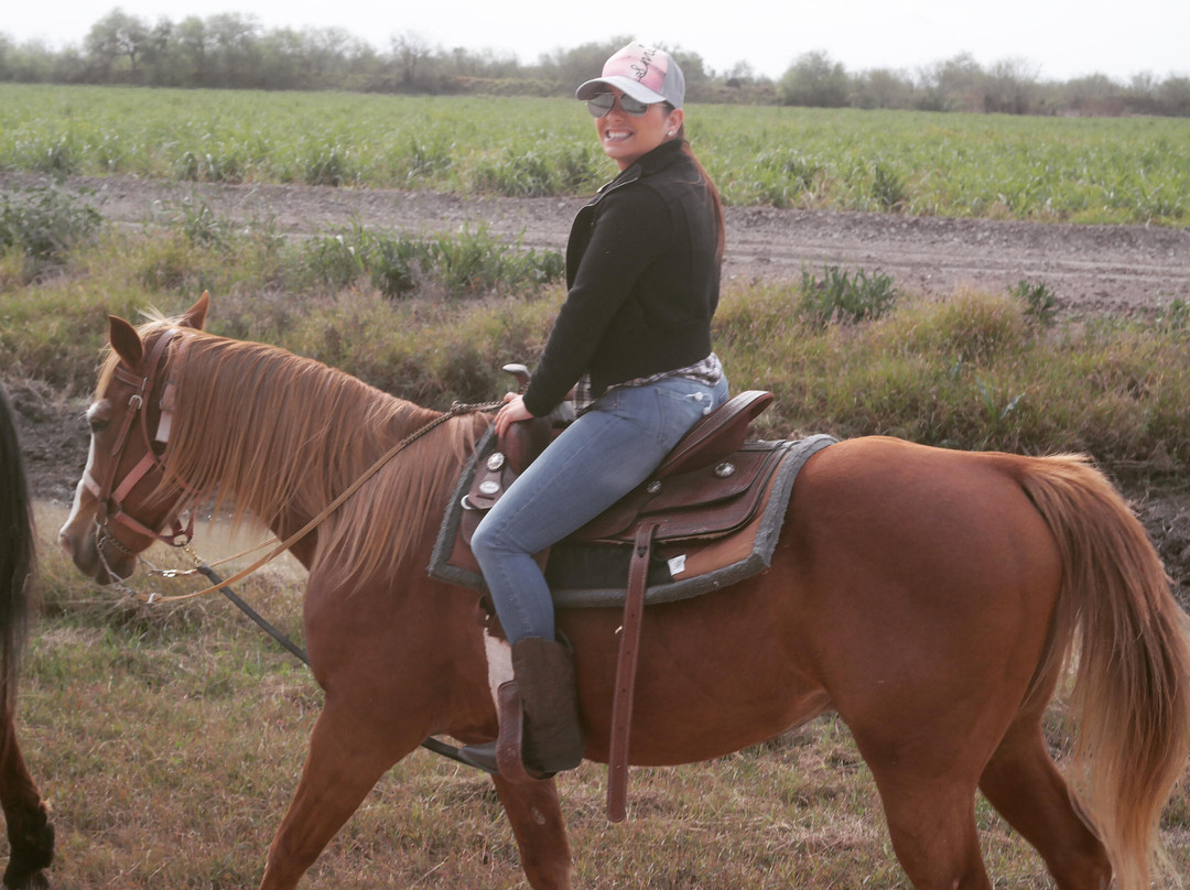 Texas Border Tours-Progreso必去景点
