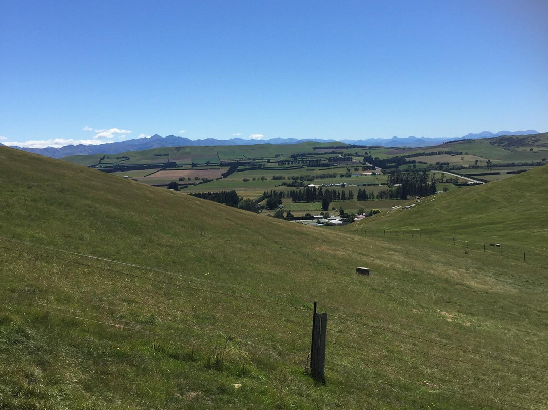 Weka Pass Horse Treks & Riding Centre景点图片