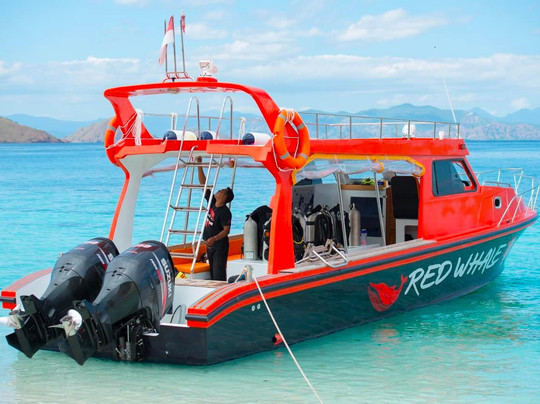 Red Whale Dive Center & Tours-Labuan Bajo必去景点