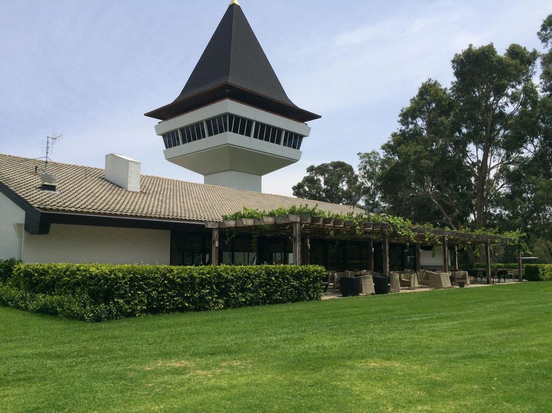 Nagambie旅游景点-Mitchelton Wines