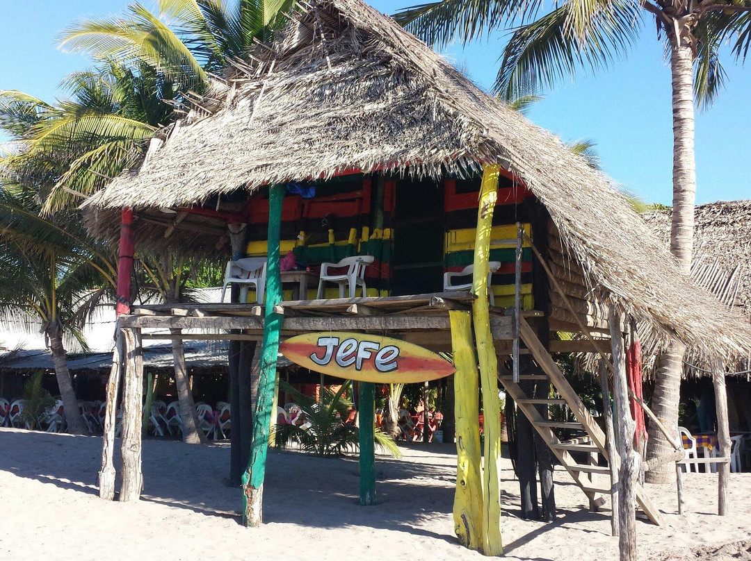 Stoners Surf Camp