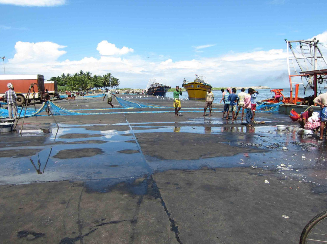 Neendakara Port-科兰必去景点