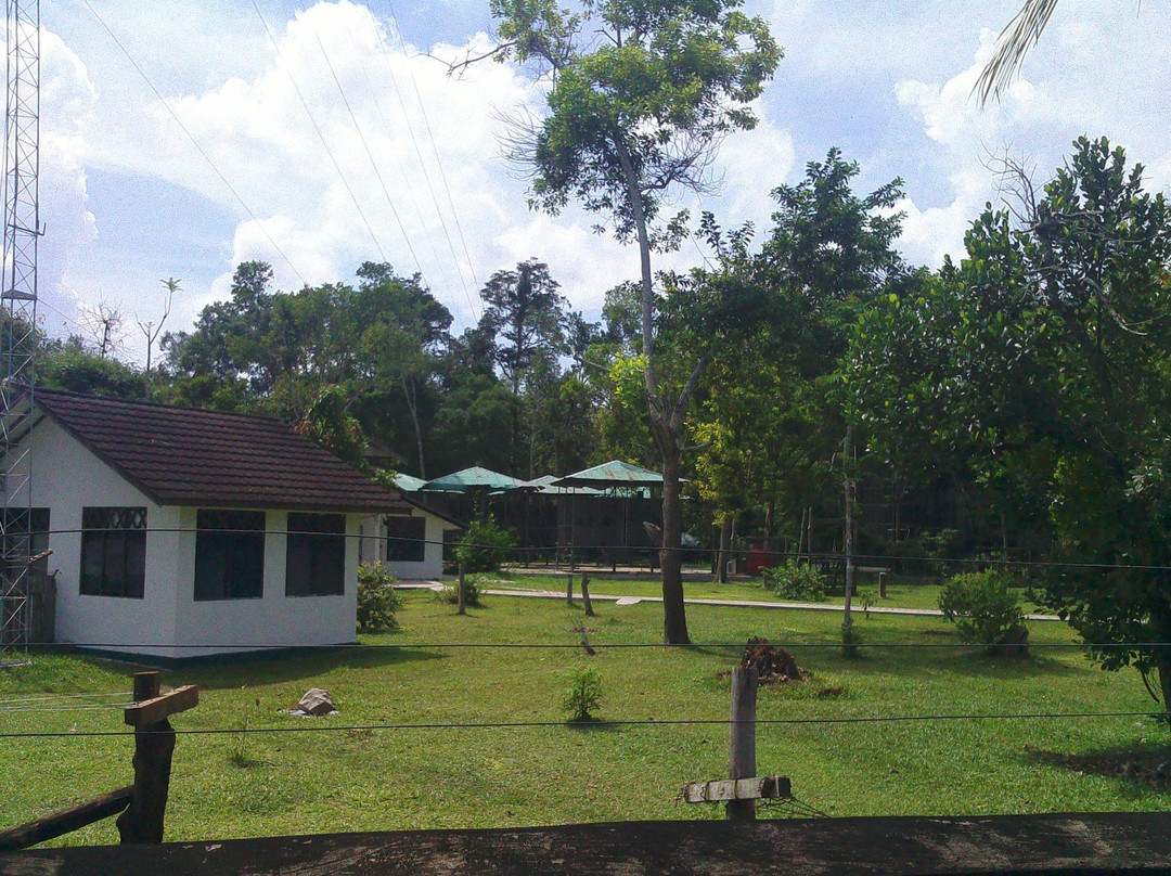 Kawasan Arboretum Nyaru Menteng-帕朗卡拉亚必去景点