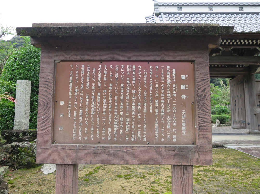 Seigan-ji Temple-静冈市必去景点