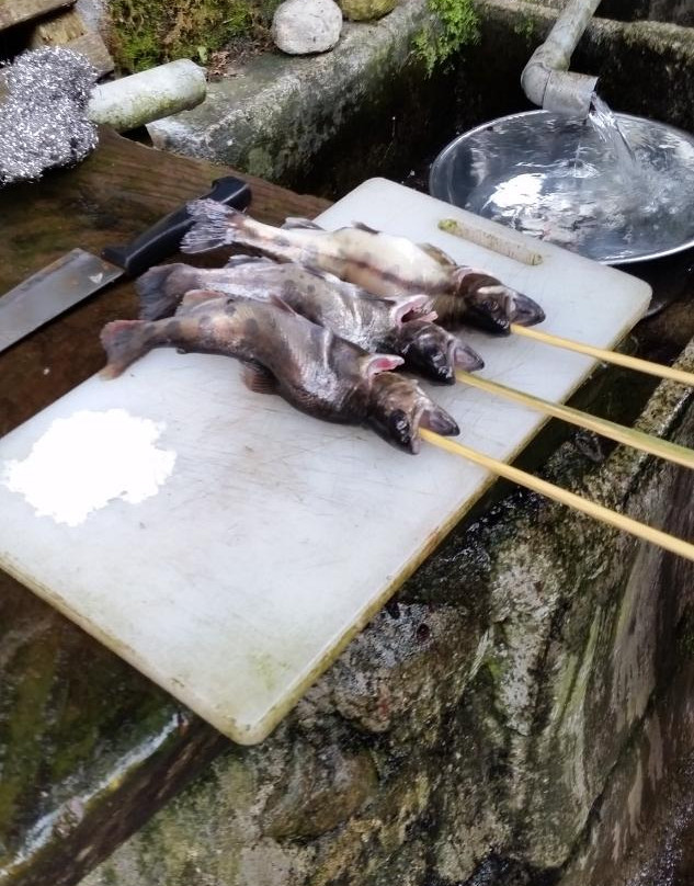 Yatarogawa Masu Tsuriba-清川村必去景点