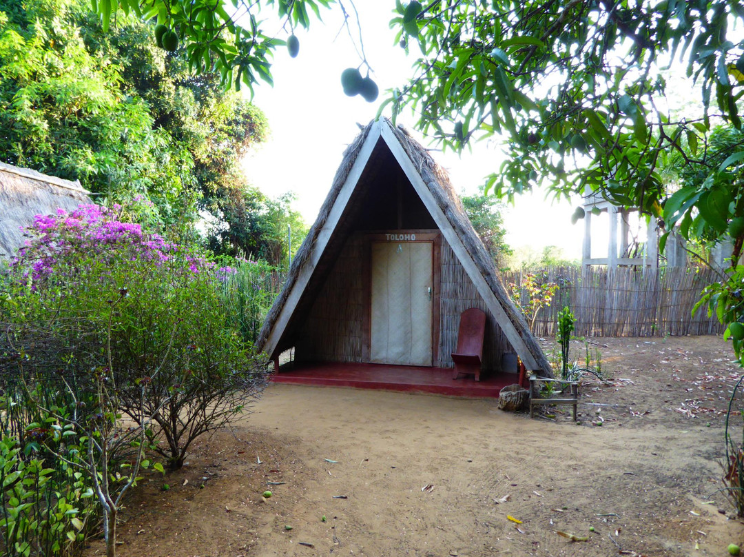 Tanankoay