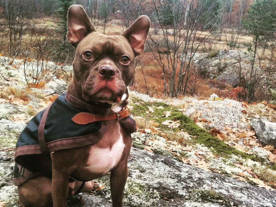 Queen Elizabeth II Wildlands Provincial Park-Kawartha Lakes必去景点