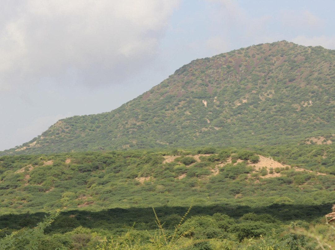 Dhinodhar Hill景点图片