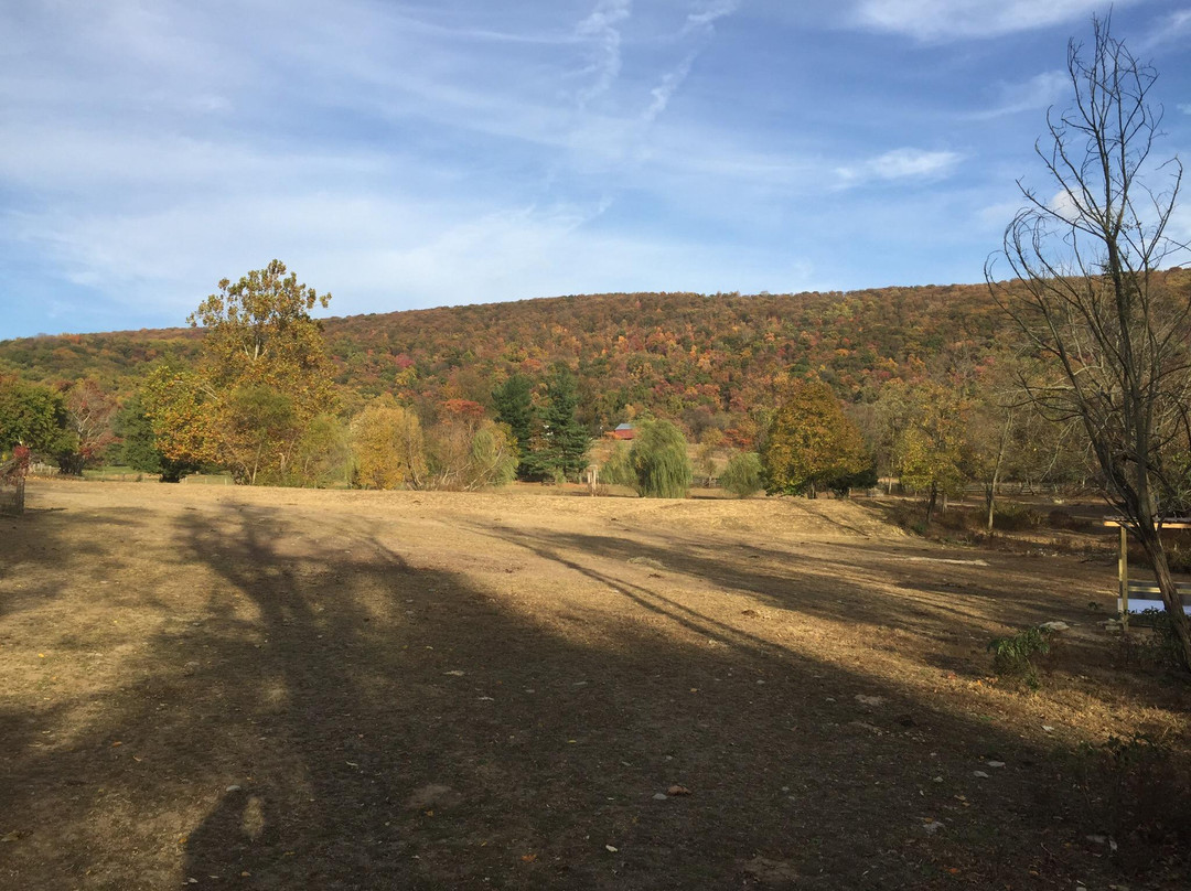 Elk Mountain Trails景点图片