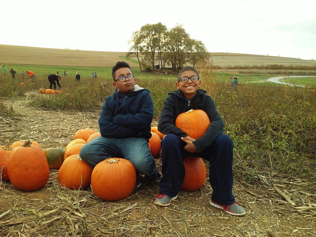 Jumbo's Pumpkin Patch-Middletown必去景点