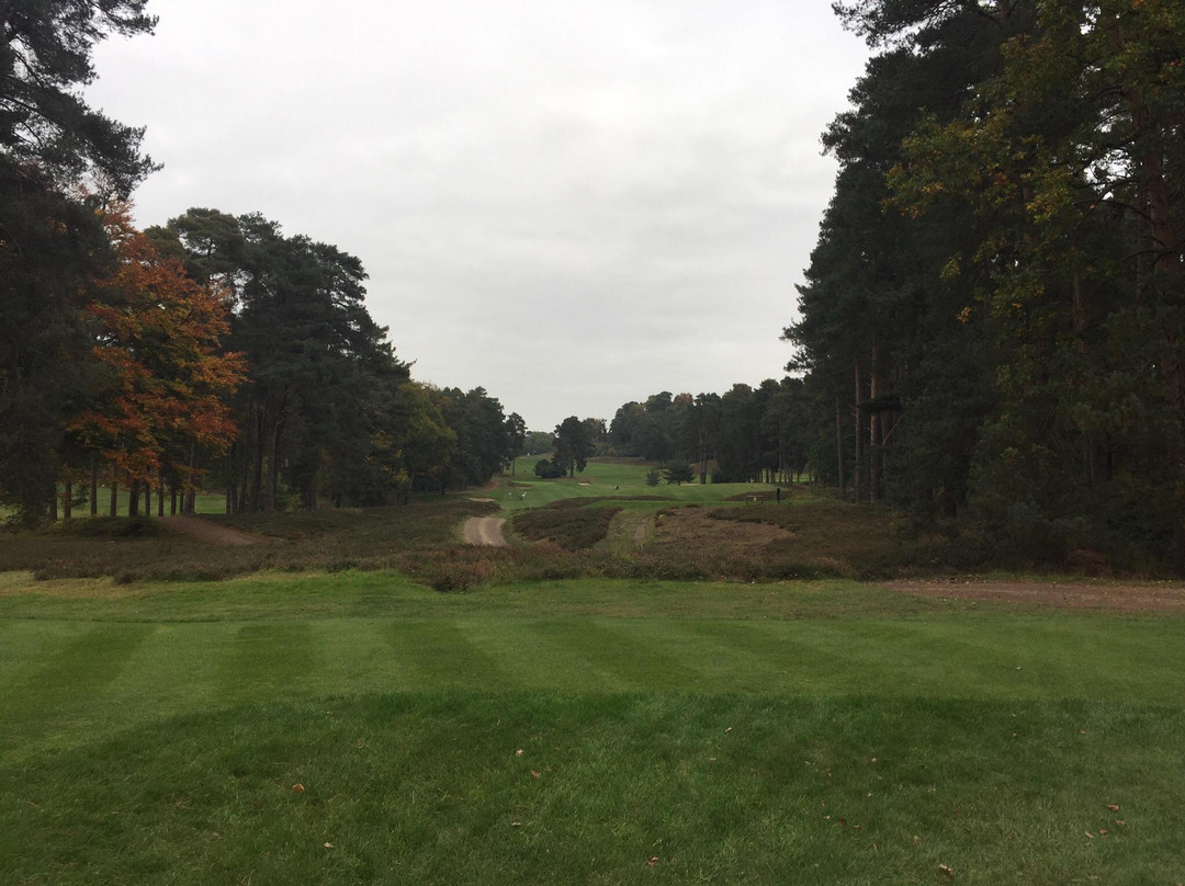 St George's Hill Golf Club景点图片
