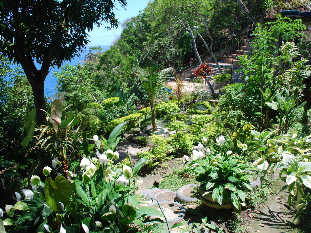 Parque e Instituto Sitiê