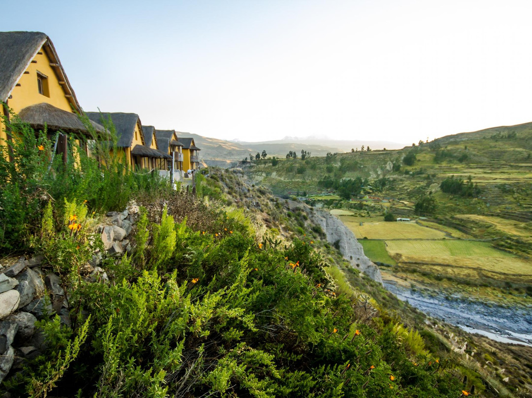 Eco Inn Colca
