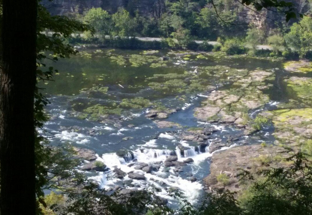 New River Gorge-西维吉尼亚必去景点