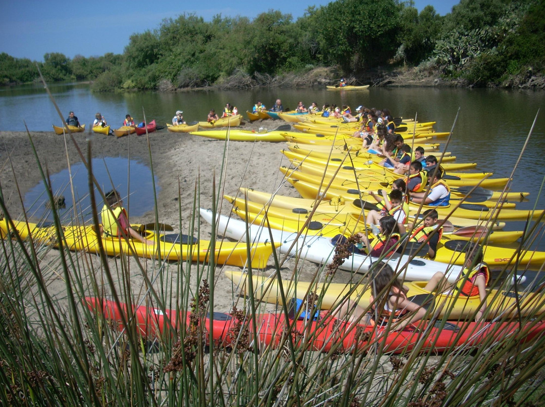 New Kayak Sardinia景点图片