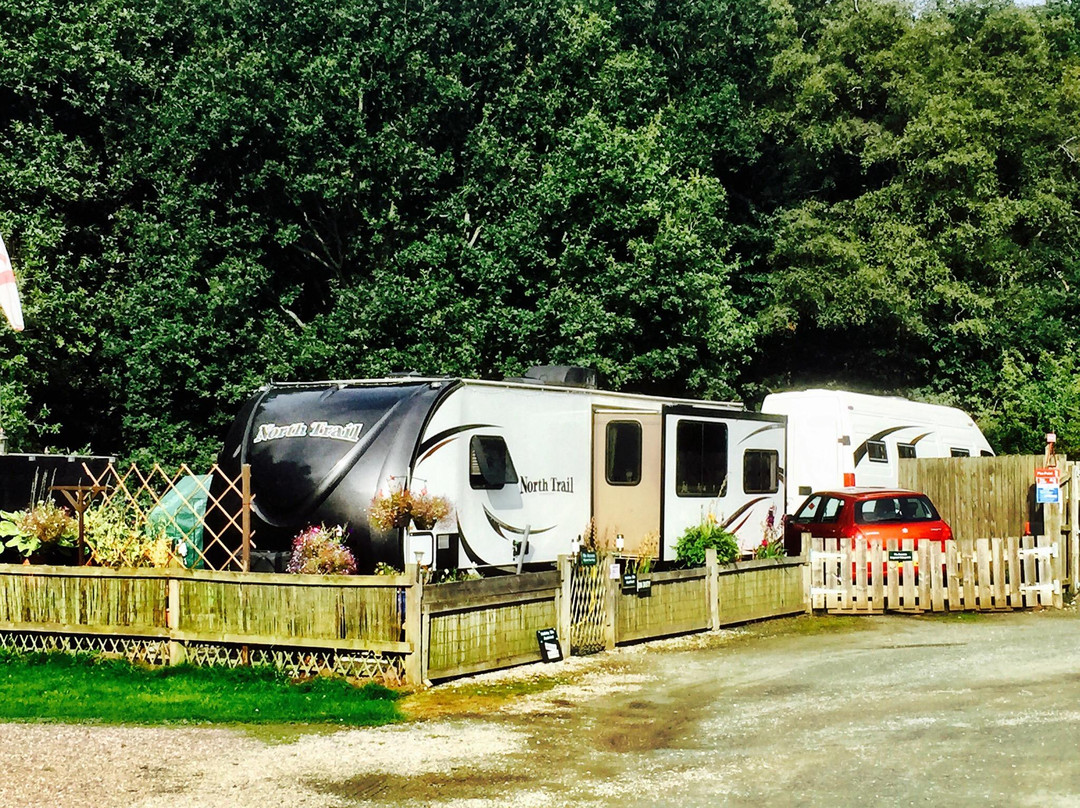 Delamere Camping and Caravanning Club Site