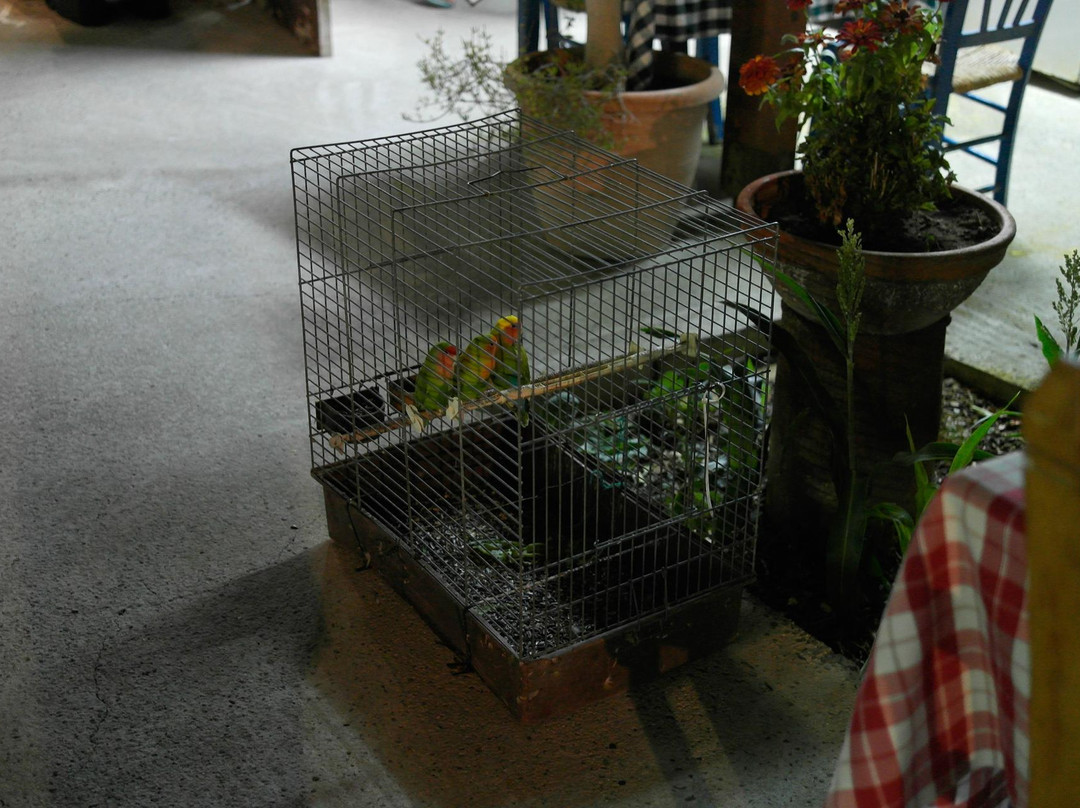 Vouni餐馆和美食-Ariadne Taverna