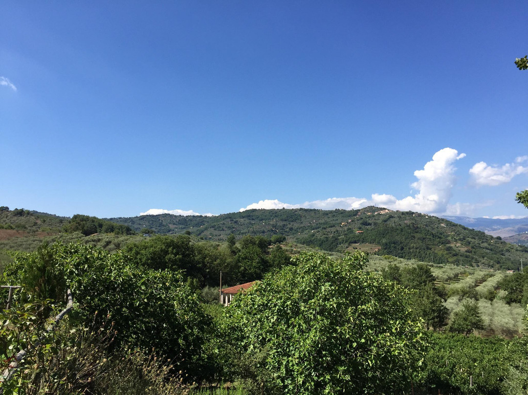 Agriturismo "Il Parco dei Principi"
