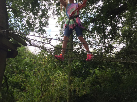 Jungle Parc - Northampton-韦灵伯勒必去景点